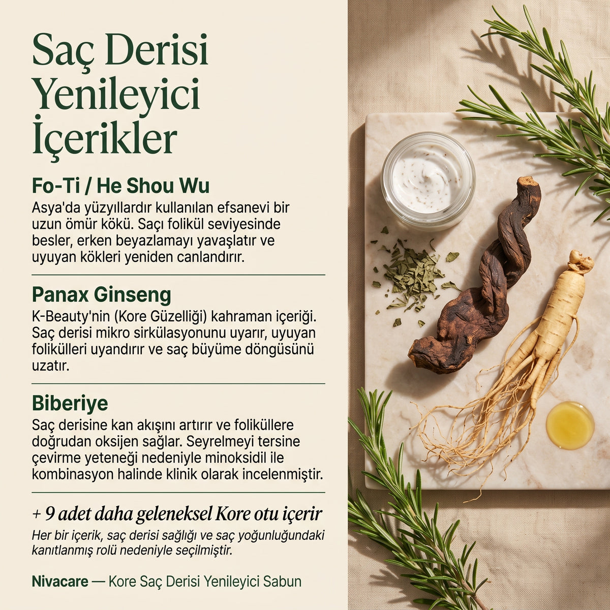 Kore Saç Derisi Canlandırıcı Bar